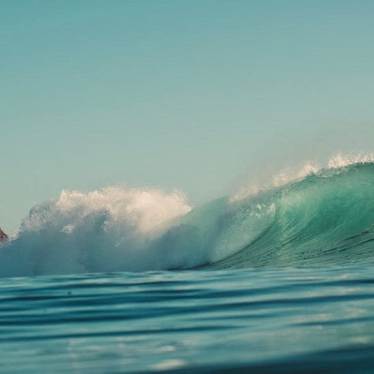 Join the Movement: How to Get Involved in Ocean Conservation